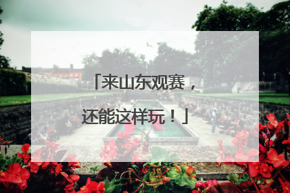 来山东观赛，还能这样玩！